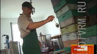 В Рузаевском районе Мордовии фермеры развивают промышленное пчеловодство