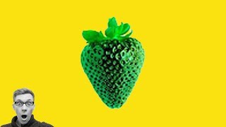 Если ты видишь КРАСНЫЙ, то ты НОРМАЛЬНЫЙ ЧЕЛОВЕК! *98% НЕ ВИДЯТ*! СЛОЖНЫЙ ВИДЕО ТЕСТ (БиС)