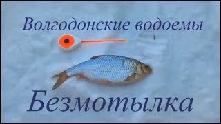 Рыбалка на БЕЗМОТЫЛКУ Бешеный клев плотвы. Волгодонские водоемы!