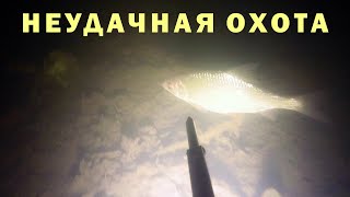Подводная охота - Неудачная охота