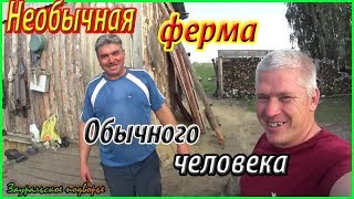 На ферме у Александра /Необычное хозяйство/Деревенская жизнь