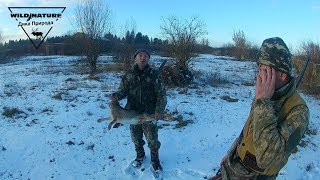 Охота на зайца #9 "Взяли голыми руками" 2017
