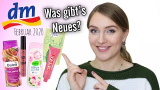 ALLE DM NEUHEITEN Februar 2020 | XXXL Sortimentsupdate | Lubella