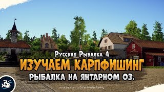 Оз. Янтарное, фарм на Карпах? Русская Рыбалка 4
