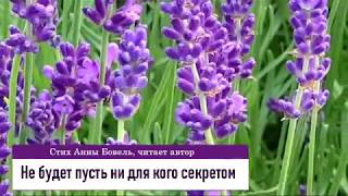 Не будет пусть ни для кого секретом  Анна Бовель