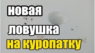Ловушка на Куропатку