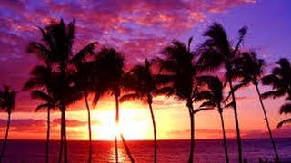 Sarasota Пляж  Siesta Beach веселый закат солнца