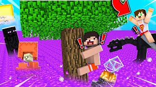 MİNECRAFT'TA KANAT AVINA ÇIKIYORUZ - CONCONCRAFT