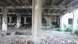 Абхазия Пицунда рыбзавод 20.08.2015