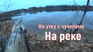 Охота на утку с чучелами. Осень 2019.Река Вычегда.