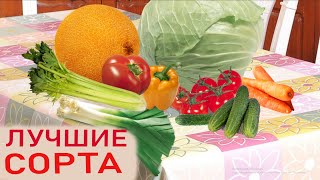 Что мы сажаем в этом году?