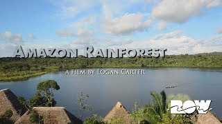 Amazon Rainforest Tours - Napo Wildlife Center