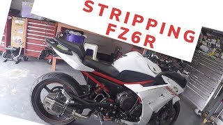 Ripping Plastics of FZ6r