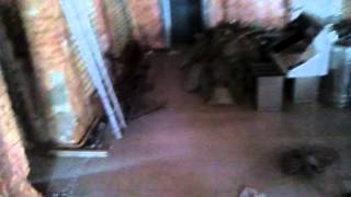 Аренда кафе на ул. Большая Покровская в г. Нижнем Новгороде