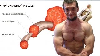 Горят ли мышцы на сушке. Личный опыт.