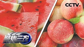 《聚焦三农》 瓜果价格为何冰火两重天 20180624  | CCTV农业