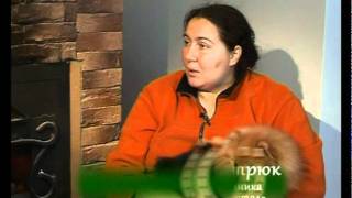 Джек рассел терьер, шпиц. Живой дом серия 80