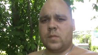 Пчеловодство для начинающих! Тихая смена матки!