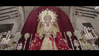 Tú, la Reina del Cielo