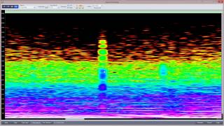 Samplitude Pro X : The Spectral Cleaning Offline Editor