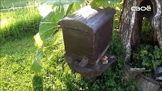 Новости Ставропольского края. Своё ТВ. Выпуск от 26.07.2019, 15:30