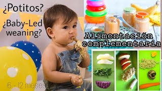 Alimentación complementaria ¿BLW mixto? ¿Purees? Mi Experiencia | Bea HS