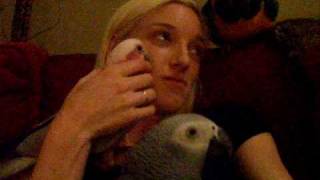 Christmas with the Womach Birds | BirdTricks Flock