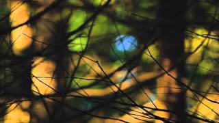 Fandango - Δώρος Δημοσθένους