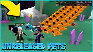 THE OWNER GAVE ME UNRELEASED PETS & INF MONEY | Balloon Simulator