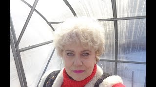ОТВЕТЫ НА ВОПРОСЫ. 25 марта. Ольга Чернова.