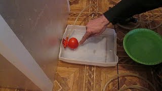 КАК СДЕЛАТЬ ЛАТОК С АВТО-НАПОЛНЕНИЕМ ВОДОЙ ДЛЯ ИНКУБАТОРА (ОТДЕЛЬНОЕ ПОДРОБНОЕ ВИДЕО)