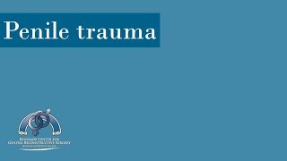 Penile Trauma: Treatment, Cases
