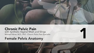 Section One: Female Pelvic Anatomy - Chronic Pelvic Pain with Synthetic Vaginal Mesh