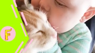 Baby and Cat Fun and Fails - Funny Baby Video