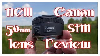 NEW Canon EF 50mm f 1.8 STM Lens Review, With Samples