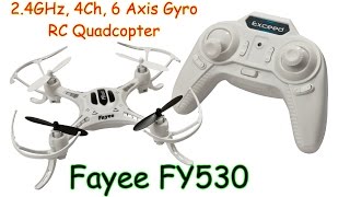 Fayee FY530 2.4GHz, 4Ch, 6 Axis Gyro, RC Quadcopter (RTF)