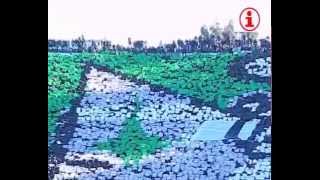 Tifo RAJA vs MAT 2015
