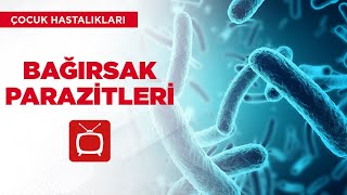 Bağırsak Parazitleri