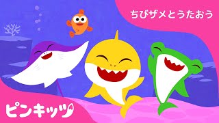 あいさつしよう | サメのかぞく | ちびザメとうたおう | ピンキッツ童謡