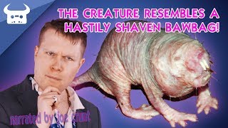 NAKED MOLE RATS?