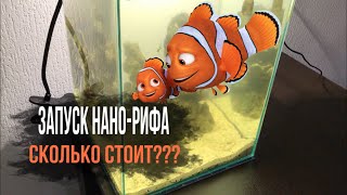 №1 ЗАПУСК МОРСКОГО АКВАРИУМА/СКОЛЬКО СТОИТ???/ЗАПУСК С НУЛЯ