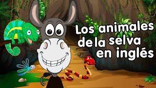 Animales de la selva en inglés con canciones infantiles