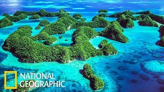 Палау - рай в Тихом океане (National Geographic)