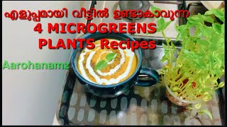 Microgreens Recipes In Malayalam | 4 Easy Microgreens Recipe | Pumpkin Soup Recipe By Aarohanamz