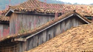 Programa Viação Cipó - Abre Campo - 22/06/2014 Bloco 02