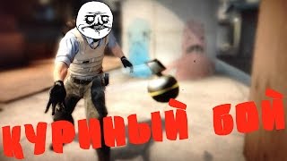 CS GO - куриный бой