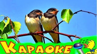 ЛАСТОЧКА! КАРАОКЕ для Детей! Лучшие Детские Песни! Припевочка #116