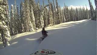 Timbersled Mountain Horse, Deep Snow and Sunshine