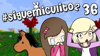 MUERE EL CABALLITO DE MEL | #SigueMiCulito 2 | Episodio 36