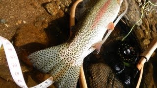 北海道 フライフィッシング ガイド｜札内川支流